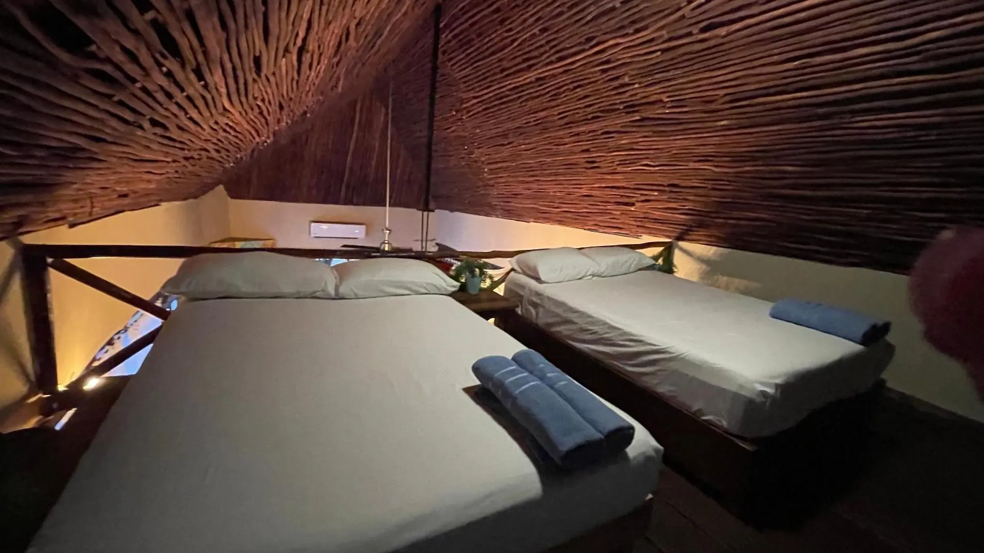 Treehouse Loft In Prime Location Apartment Playa del Carmen