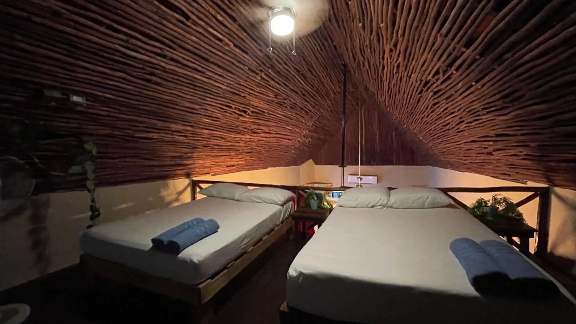Treehouse Loft In Prime Location Apartment Playa del Carmen 0*,
