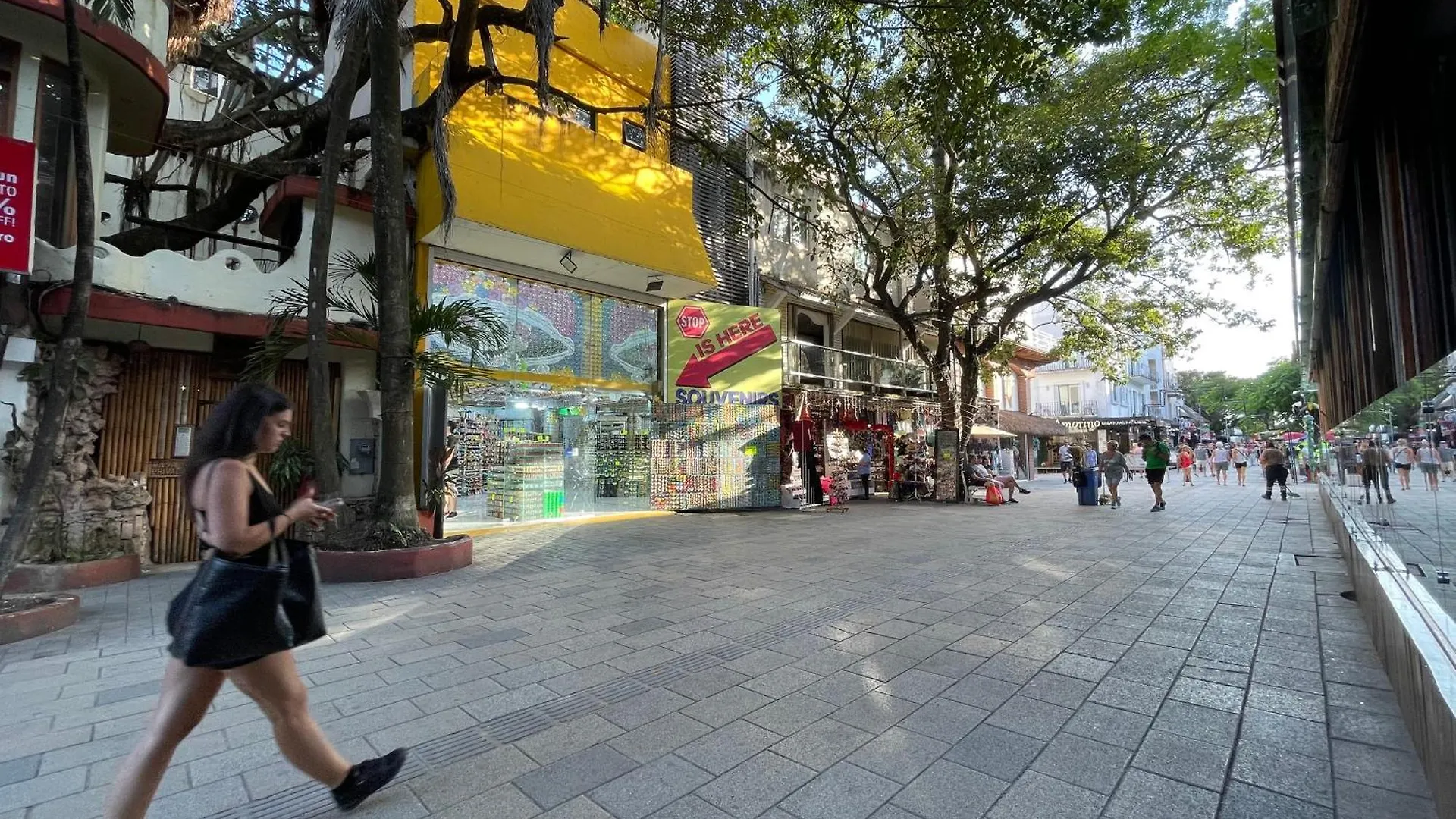 Treehouse Loft In Prime Location Apartment Playa del Carmen