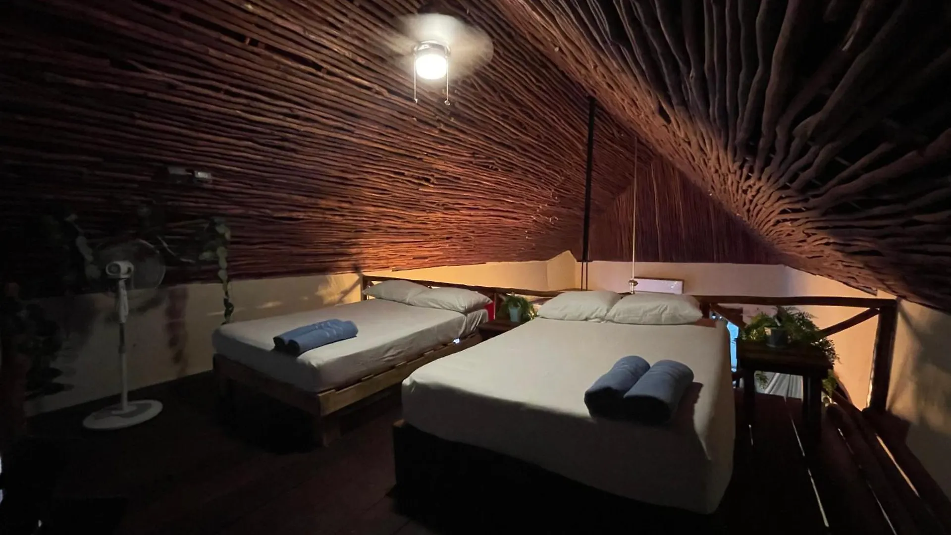 Treehouse Loft In Prime Location Apartment Playa del Carmen 0*,
